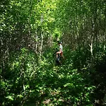 Luettje Heide-huus