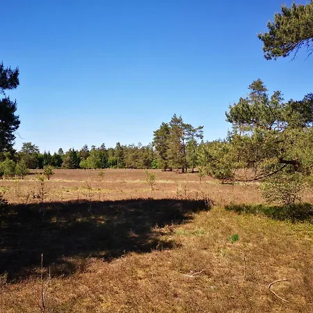 Luettje Heide-huus * 졸타우