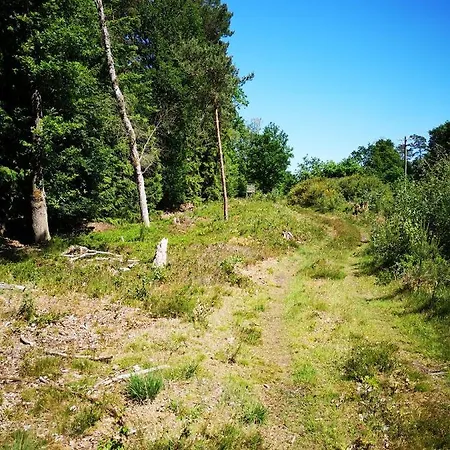 펜션 Luettje Heide-huus 졸타우