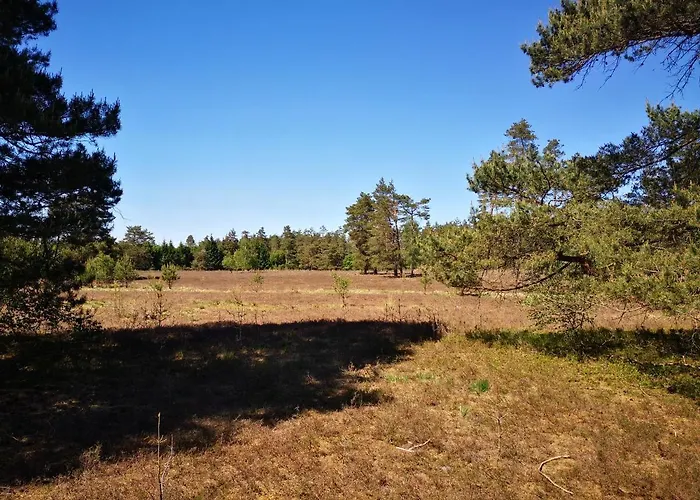 Luettje Heide-huus * Soltau