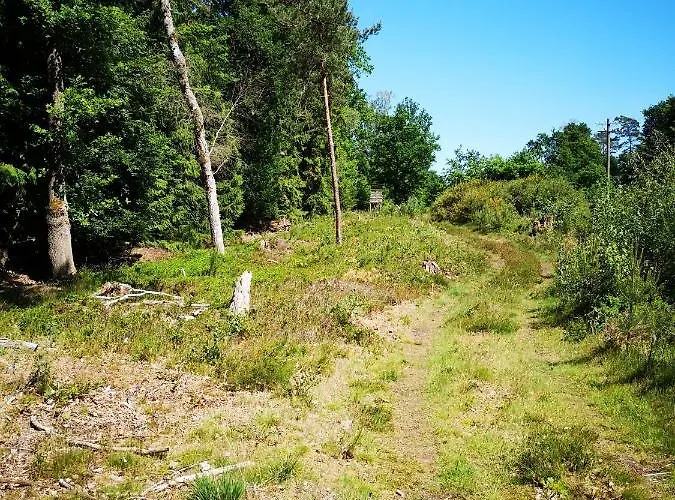 Hébergement de vacances Luettje Heide-huus Soltau
